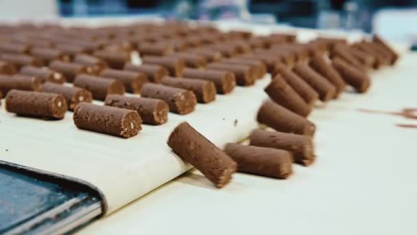 Виробництво шоколадних цукерок на заводі — стокове відео
