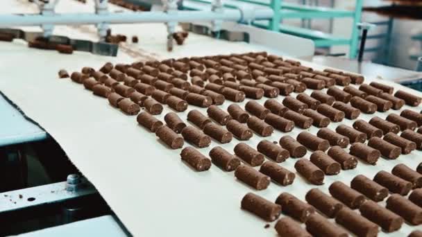 Herstellung von Schokolade in der Bonbonfabrik — Stockvideo