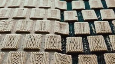 çerez yapımı fabrika proses konveyörü
