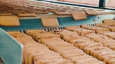 çerez yapımı fabrika proses konveyörü