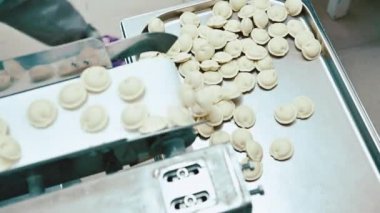 Pelmeni yapım süreci fabrikası el yapımı