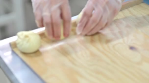 Proceso de fabricación de pelmeni fábrica hecho a mano — Vídeos de Stock