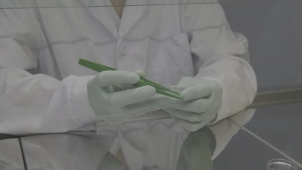 New skin sample human laboratory — Stock Video