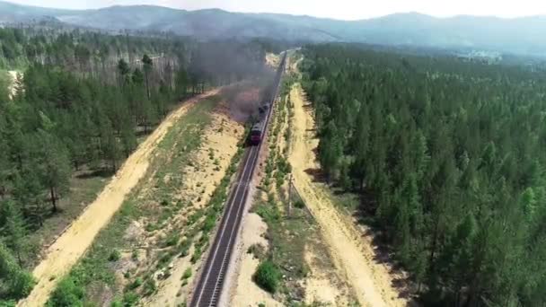 Kereta api pengiriman batu bara ekspor russia hitam — Stok Video