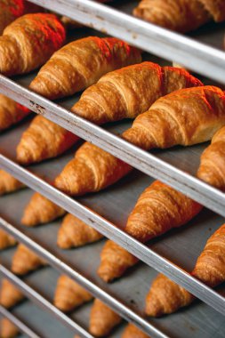 kruvasan yapma fabrika fırın taze aşçı bisküvi