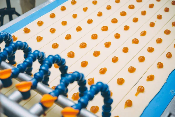 Cookie making factory bakery fresh cook biscuit — Stock Photo, Image