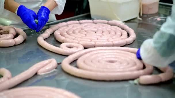 Processo de salsicha fazendo indústria de produtos de carne de fábrica — Vídeo de Stock