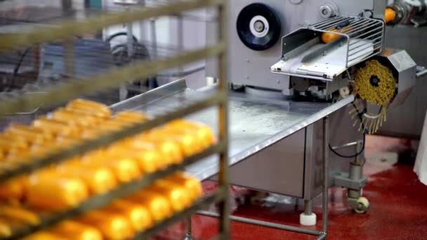 Sausage process making factory meat product industry — Stock Video