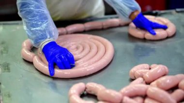 Sosis üretimi fabrika et ürünleri endüstrisi