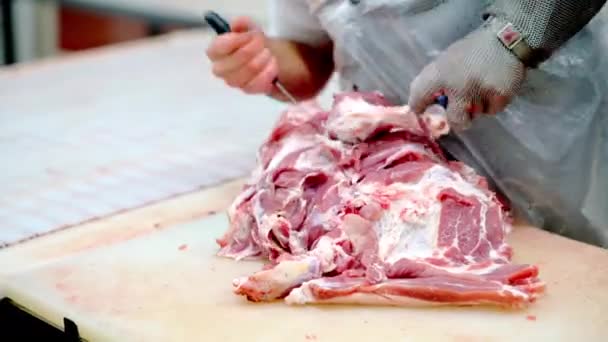 Fábrica de carne carne carne de cerdo cortada carnicería cruda — Vídeo de stock