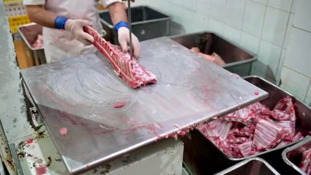 Macchina di taglio di produzione dell'industria della carne — Video Stock