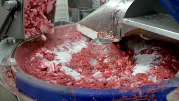 Fleisch Fabrik Industrie Produktion Hackfleisch Prozess Zutat — Stockvideo