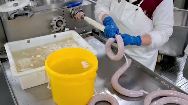 Industria cárnica proceso de fabricación de salchichas de producción — Vídeos de Stock