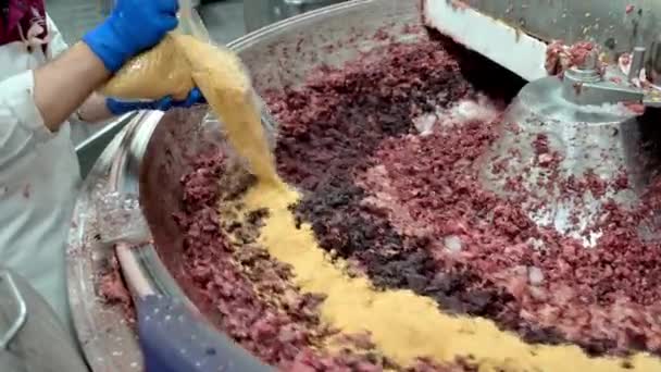 Indústria de carne indústria de produção picado ingrediente do processo — Vídeo de Stock