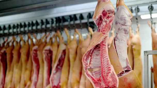 Viande usine cru coupé boucherie bœuf porc — Video