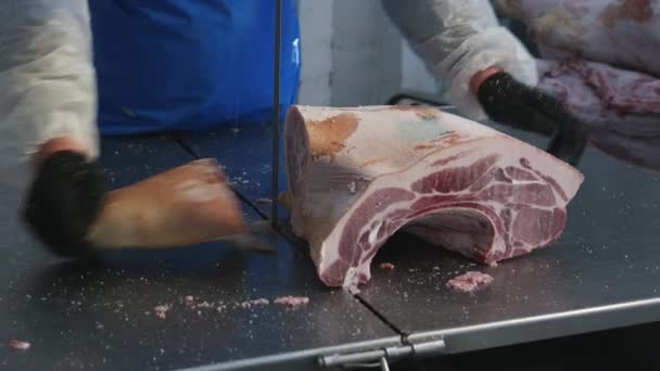 Carne congelada cruda pieza sierra industria de fábrica — Vídeo de stock