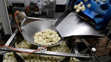 Hamur köftesi fabrikası işleme modern sanayi pelmeni