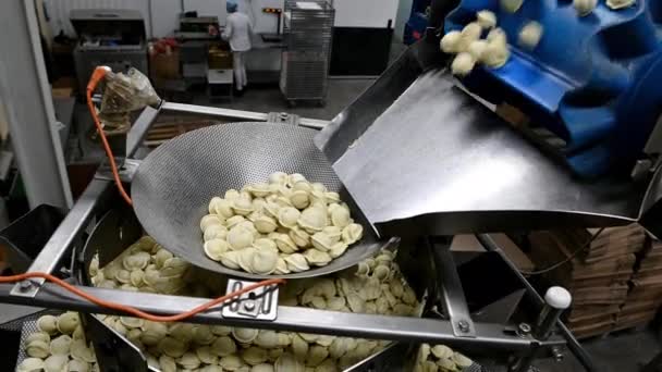 Knödel Fabrik Herstellung Prozess moderne Industrie Pelmeni — Stockvideo