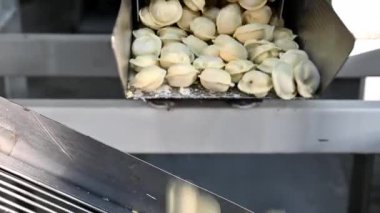 Hamur köftesi fabrikası işleme modern sanayi pelmeni