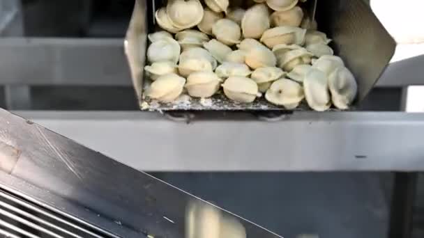 boulette usine processus de fabrication industrie moderne pelmeni 