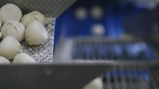 Dumpling factory making process modern industry pelmeni — Stock Video