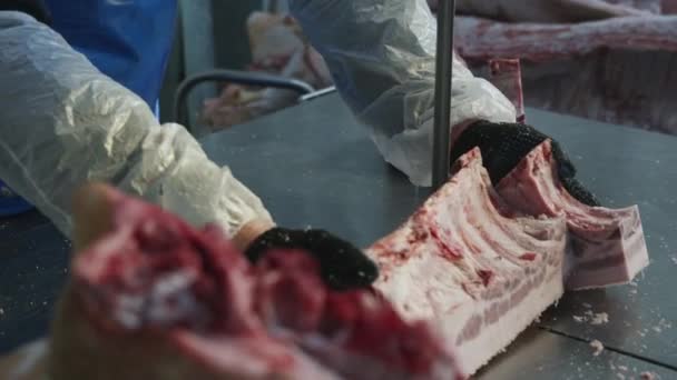 Przemysł przetwórczy surowych mrożonych wyrobów mięsnych — Wideo stockowe