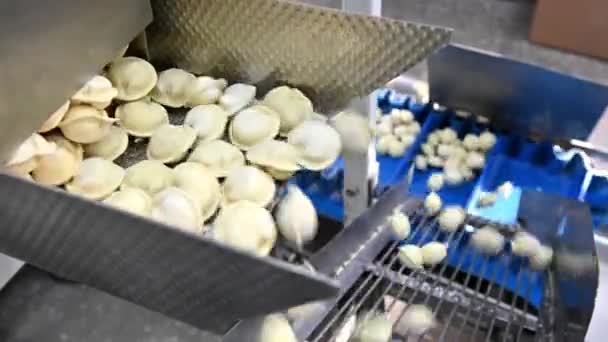 Dumpling factory making process modern industry pelmeni — Stock Video