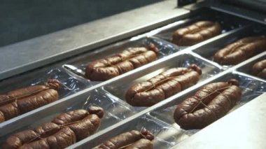 Sosis taşıyıcısı et fabrikası üretim hattı