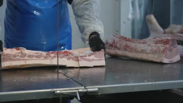 Carne congelada crua peça viu indústria de fábrica — Vídeo de Stock