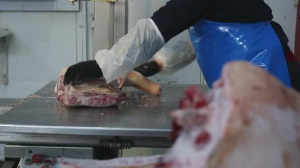 Raw frozen meat piece saw factory industry — Stock Video