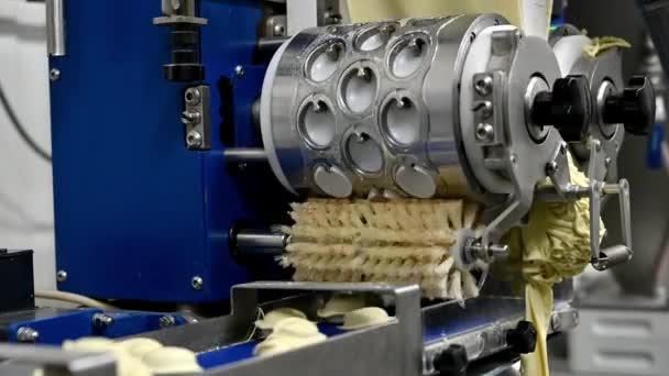 Knedlíková továrna výrobní proces moderní průmysl pelmeni — Stock video