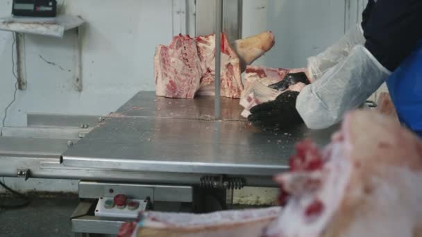 Raw frozen meat piece saw factory industry — Stock Video