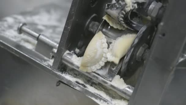Vareniki fabricación proceso fábrica equipo comida tradicional — Vídeo de stock