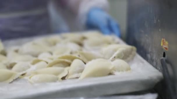 Vareniki fazendo equipamento de fábrica de processo comida tradicional — Vídeo de Stock