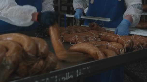 Sausage factory process making fresh meat industry — Stock Video