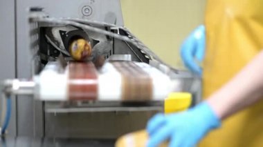 Sosis fabrikası et üretim endüstrisi