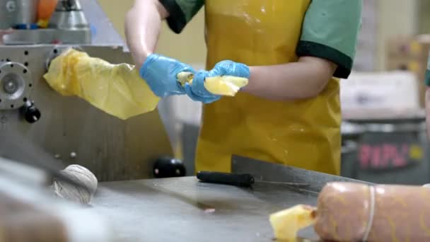 Fábrica de salchichas industria de producción de carne — Vídeo de stock