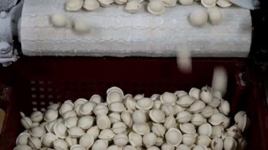 Hamur köftesi fabrikası et üretimi