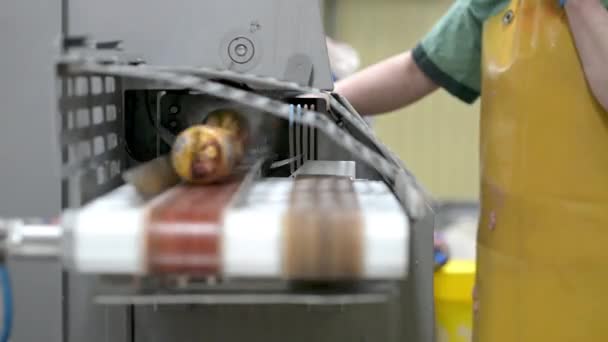 香肠制造厂肉类生产行业 — 图库视频影像