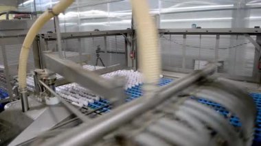 Yumurta fabrikası kümes hayvanı üretimi