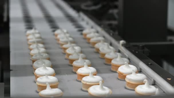 Proceso de fabricación de la fábrica de helados transportador moderno — Vídeo de stock