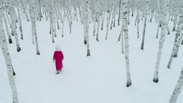 Inre Mongoliet vinter norra porslin landskap — Stockvideo