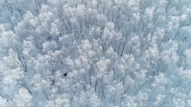 Interior da Mongólia inverno norte da China paisagem — Vídeo de Stock