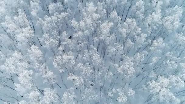 Interior da Mongólia inverno norte da China paisagem — Vídeo de Stock