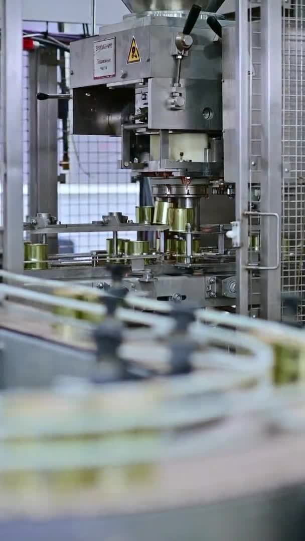 Вертикальна відеолінія може виробляти заводську промисловість — стокове відео