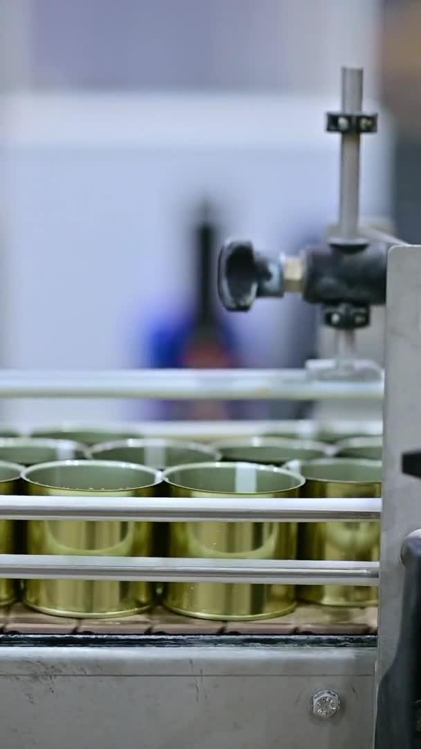 Vertikal videolinje kan fabriksindustrin tillverkning — Stockvideo