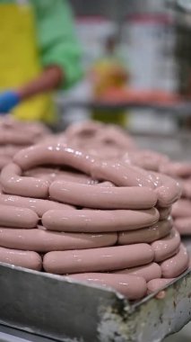 dikey sosis üretim fabrikası