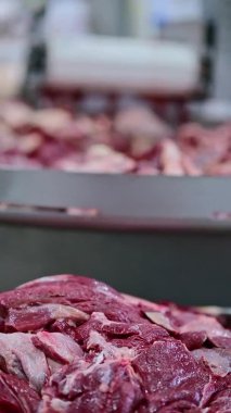 dikey et kesim fabrikası