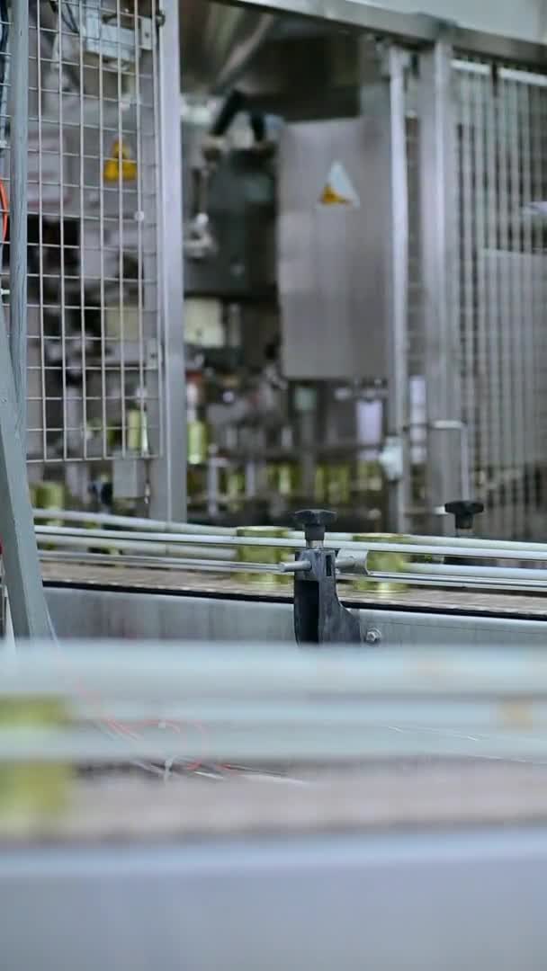 Вертикальная видеолиния может завод промышленности производства — стоковое видео