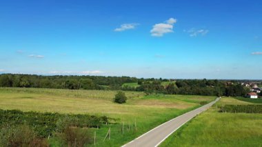 Piedmont 'taki üzüm bağlarının insansız hava aracı görüntüsü